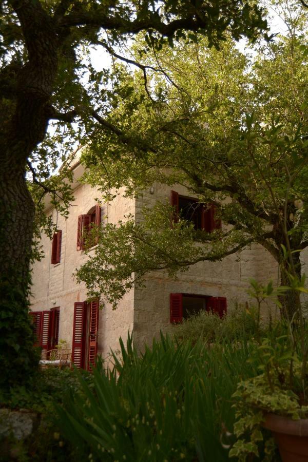 Par Tòt Locorotondo Exterior foto