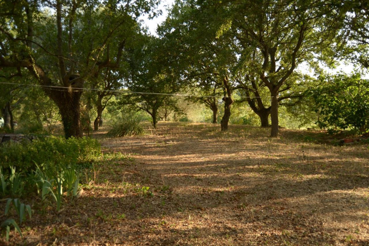 Par Tòt Locorotondo Exterior foto